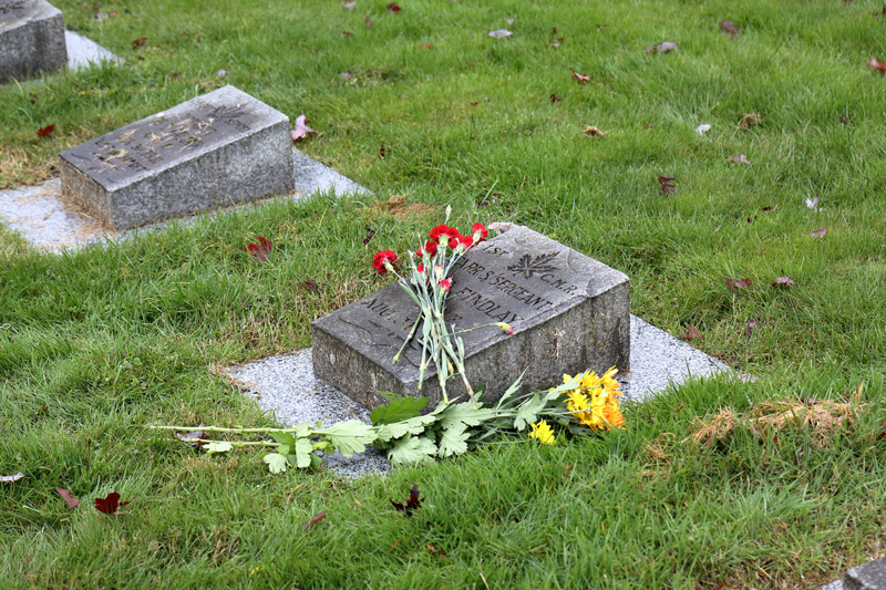 Illustration for article titled Pics from the Cemetery: 2017-11-11 at Mountain View
